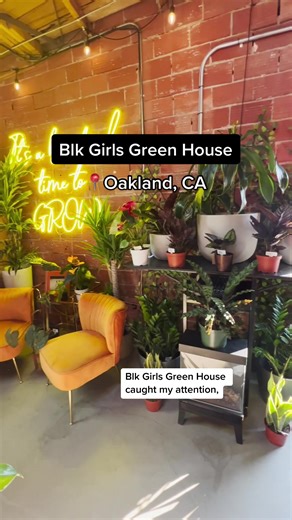 J'Maica and Kalu wanted their business to be ✨an absolute vibe✨. Blk Girls Green House collabs with other Black-owned businesses to create a specialty home goods shop and community space. Need a plant, coffee, or just a zen space to hang out? Blk Girls Green House has you covered. #SmallBizFinds #SmallBusiness #SmallBusinessOwner #PlantsOfTikTok #PlantShop