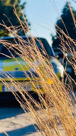 En Marbella Mini Cooper 2005 € 4500 GARANTIA 12 MESES CON 3 CONTROLES GRATIS INCLUIDOS EN EL PRECIO. 160.000 km como se indica en la foto. Vehículo probado y controlado en nuestro taller interno, con certificado escrito que ""Todo funciona"". Usado primera selección. Motor gasolina con 160.000 km, motor 1.6 gasolina 90 CV, con navegador, pocos modelos traían navegador y doble reloj en el cuadro. El vehículo funciona perfectamente, no tiene ruidos de mecánica desgastada, no tiene fallos, ITV en V