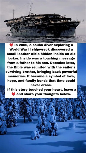 The WW2 Discovery That Reunited a Family After Decades 😭 #shorts
