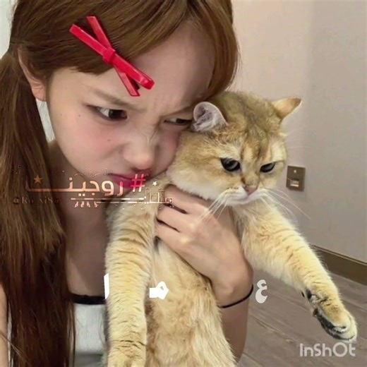 ف/وش تسوون وقت فراغم؟✨🐾#fypppppppppppppppppppppppppppppppppppppppppppppppppppppppppppppppppppppp