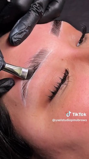 Brow Lamination Wax and Tint Tutorial in Vancouver