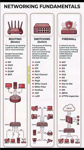 Networking Fundamentals!!✨✨