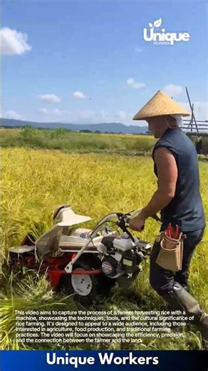 Rice harvesting machine: reaping the golden harvest