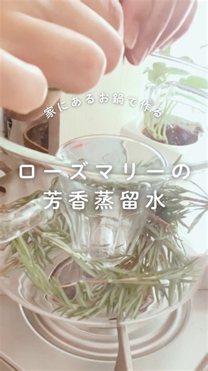 【鍋で作れる】ローズマリーの芳香蒸留水🌿香りを楽しむおうち蒸留｜40代からの美容習慣