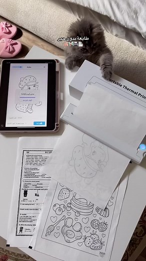 Essential Inkless Wireless A4 Printer for Everyone