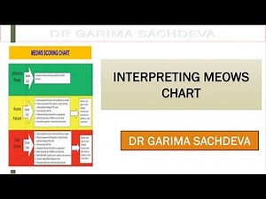 Interpreting MEOWS chart