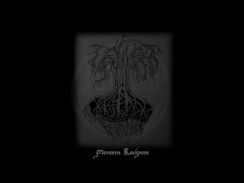 Ascensus - Turdus Merula