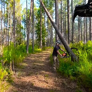 25K views · 44 reactions | How to solve the hanging tree problem | Stutteri Horskilde | Facebook