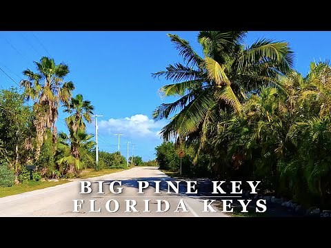 Big Pine Key Florida Keys Island Drive - Big Pine Key, FL - Relaxing Scenic 4K Island Driving Tour
