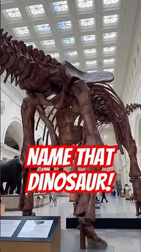 One of the world‘s largest Dinosaurs on display at ‪@TheFieldMuseum‬