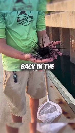 Fisherman VS Toxic Sea Urchin 🤯