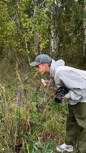 Capturing Autumn's Beauty: A Nature Photography Journey