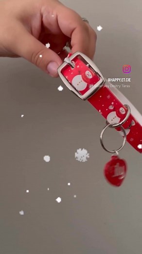 Lily aura un beau collier pour Noël 🐶❤️ 📩 Faites vite, l’inventaire est limité ! #Noël2025 #ColliersChiens #Biothane #ChiensStylés | Happy & cie