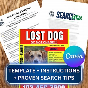 Lost Pet Flyer Template: Editable Missing Dog/cat Poster (digital Download) - Etsy