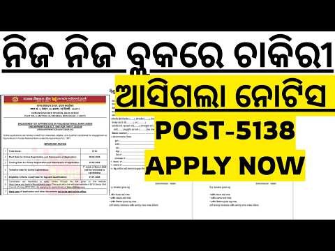 ୫୧୩୮ଟି ପଦବୀ ଆସିଲା ଓଡ଼ିଶାର ପିଲାଙ୍କ ପାଇଁ ନିଜ ନିଜ ବ୍ଲକରେ ଚାକିରୀ PNB BANK VACANCY 2026 I PNB VACANCY 2026