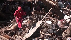 Global warming made South Africa's recent floods twice as likely, study says