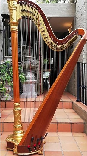 The colors of harp strings #historyofmusic #music #soundqualities #chordophones