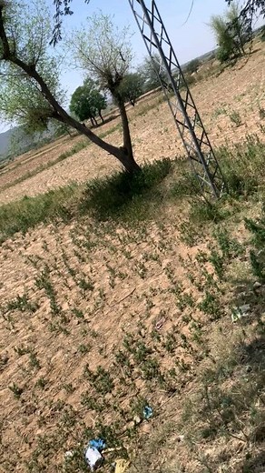 6000 kanal land for sale mozah thaliah Rawalpindi For sale Contact...