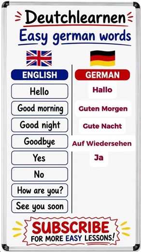 Learn German Fast 🇩🇪 Easy A1 German Words for Beginners #shortsfeed #foryou #fyp #learngerman