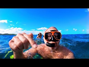 We went SNORKELING in ANTIGUA🤿🤿