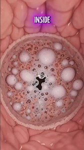 If You Drank Battery Acid… This Happens Inside Your Body 😱,#science #facts #shorts