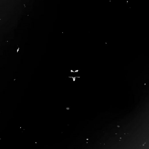 #DJOCTAVIO || this took way to long for it being ASS. || #splatoon #splatoon2 #splatoon3 #octoling #octarian #djoctavio #kingoctavio #octavio #octaviotakowasa #veemo #woomy #nintendo #nintendoswitch #videogames #gaming #videogame #edit #fyp #fypシ #foryoupage #foryou #foryourpage #followme