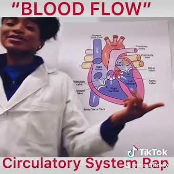 Mrs. Finney’s “Blood Flow” Video for the Circulatory System