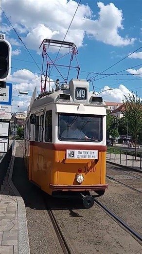 N19 Suhan a Batthyányi tér felől #tömegközlekedés #tram #nosztalgia