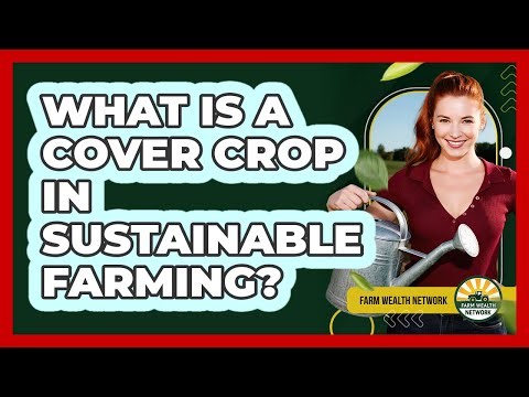 What Is A Cover Crop In Sustainable Farming? - Farm Wealth Network