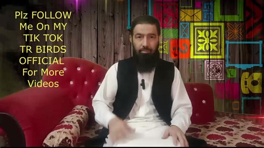 Java Finch and different types of Java finches etc #java_business #java_breeding #birds_eggs #dhilon_aviry@Moon @AUK Aviary #welcome_aviary #white_java #white_java #silver_java #java_bird #java_sparrow #tr_birds #java_finch #grey_java #java #naveed_sheikh #foryou #friends #pakistan