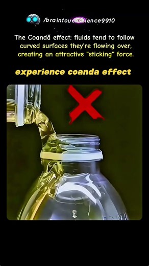 experience coanda effect #physics #demonstration