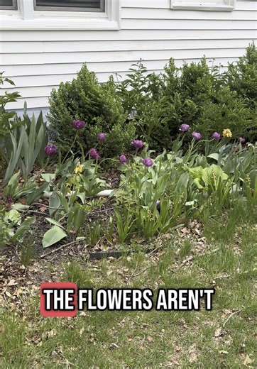 While most parents are paying dorm fees 💸, we’re watching tulips and property value bloom 🌷📈. This is our college rental — a smart investment we made instead of throwing money at on-campus housing. Now our kid has a place to live AND we’re building equity at the same time. 🙌 Here’s the wild part: Most college leases are 12 months, even if your kid only stays for 9. And dorms? Let’s not even talk about the price tag there. 😩 If you’re touring colleges this spring, it’s the perfect time to pl