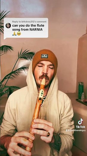 Mr. Tumnus Narnia Flute Song