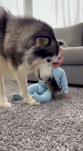 Baby Meets Puppy for the First Time 😍