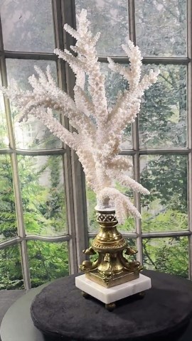 Tall Branch Coral Mounted on a Koi Brass and White Marble Pedestal Base Elegant Coastal - Etsy