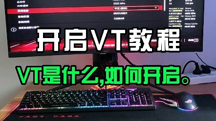 超详细的开启VT教程，中文版+英文版。
