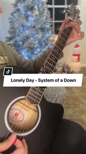 Lonely Day Acoustic Cover with Lyrics