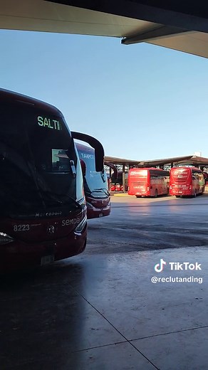 Central de Autobuses Monterrey: Todo sobre Senda y Transporte