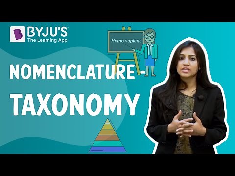 Nomenclature - Taxonomy