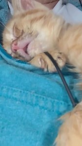 13K views · 351 reactions | $ 5 Friday is approaching! Today we are...