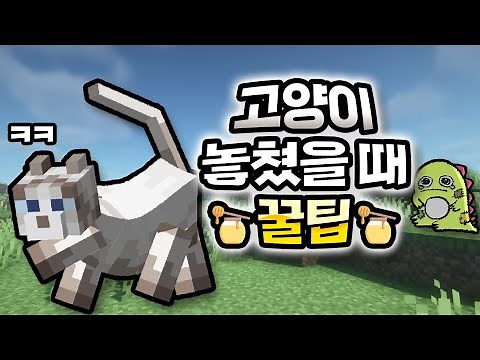 마크 고양이 놓쳤을 때 🍯꿀팁🍯