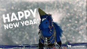 36 reactions | Have a fun and safe holiday, Lexington! See you in 2019! | City of Lexington, Ky - Government | Facebook