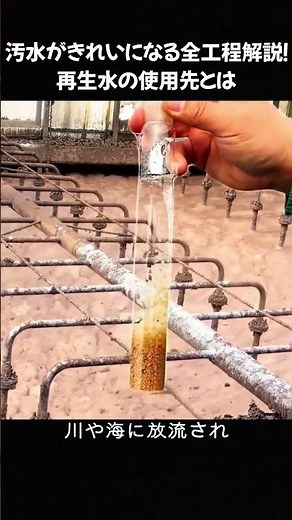 汚水がきれいになる全工程解説！再生水の使用先とは #下水処理 #水環境雑学 #上下水道知識 #再生水 #環境雑学 #水浄化工法 #生活雑学 #雑学動画