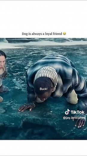 The Call of the Wild: A Heartwarming Dog Adventure