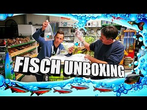 Aquarium Fisch Unboxing | Nanofische und mehr