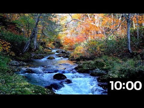 10 Minute Countdown Timer | River + Forest Sounds