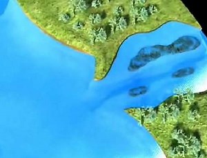 Animated Tips - Post Spawn Bass - Bassmaster