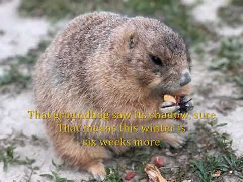 The Weatherman Sea Shanty (Wellerman parody)