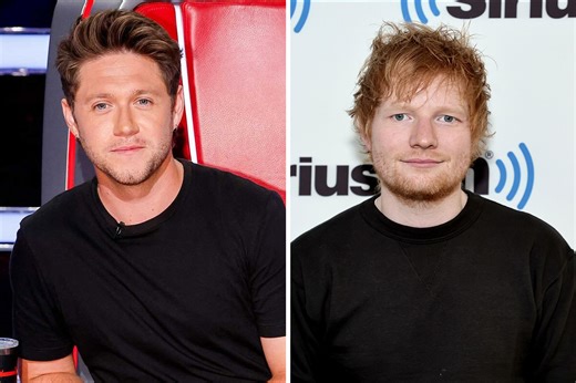 Niall Horan & Ed Sheeran Sang a One Direction Song Together, and Yes, It's Perfect