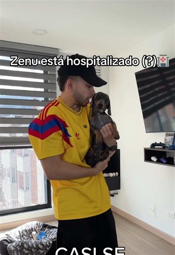 Perros graciosos y el susto del hospital